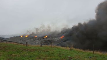 Un Poulailler Industriel Part En Fumée à Havelange