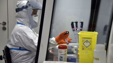 Le VIB, Institut flamand de recherche, annonce avoir développé un anticorps capable de neutraliser le virus covid-19 Le VIB, Institut flamand de recherche, annonce avoir développé un anticorps capable de neutraliser le virus covid-19