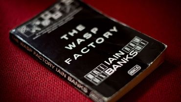 iain banks the wasp factory review iain banks the wasp factory review