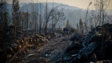 Feux De Foret Au Portugal Les Habitants Decrivent Un Enfer De Feu