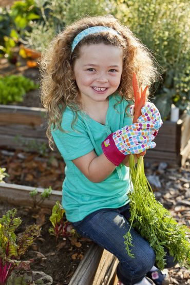 Un carré potager, c'est cultiver le plaisir d'une alimentation saine à portée de main ! Un carré potager, c'est cultiver le plaisir d'une alimentation saine à portée de main !