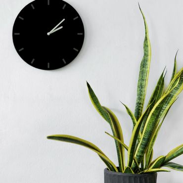15 plantes dépolluantes faciles à entretenir 15 plantes dépolluantes faciles à entretenir