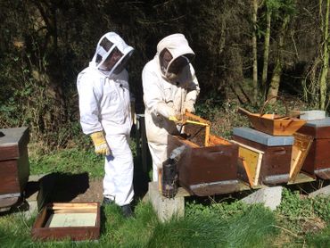 Le pâtissier Ducobu avec l'apiculteur chez qui il se procure son miel pour fabriquer la méliféra, une délicieuse praline Le pâtissier Ducobu avec l'apiculteur chez qui il se procure son miel pour fabriquer la méliféra, une délicieuse praline