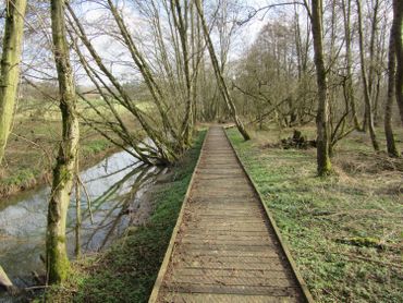 Aux portes de Ciney, le " Pâchis des chevaux " est baigné par le Leignon, un ruisseau qui contribue à la qualité de zone humide de cette réserve naturelle Aux portes de Ciney, le " Pâchis des chevaux " est baigné par le Leignon, un ruisseau qui contribue à la qualité de zone humide de cette réserve naturelle