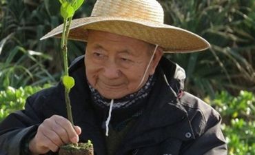 Un japonais a replanté 40 millions d'arbres de forêt vierge Un japonais a replanté 40 millions d'arbres de forêt vierge