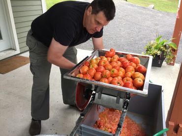 Les tomates sont ensuite broyées à la main avant d’être congelées afin d’augmenter leur concentration en sucre. Les tomates sont ensuite broyées à la main avant d’être congelées afin d’augmenter leur concentration en sucre.