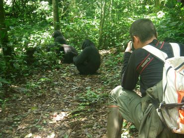 Le grand singe, le contentieux stratégique et le pouvoir d'agir Le grand singe, le contentieux stratégique et le pouvoir d'agir