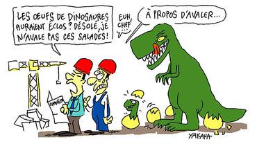 Chine: des dizaines d'oeufs de dinosaures retrouvés sur un chantier Chine: des dizaines d'oeufs de dinosaures retrouvés sur un chantier