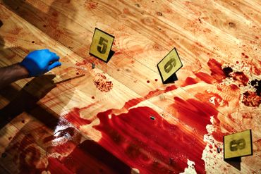 Collecting bloody evidence Collecting bloody evidence