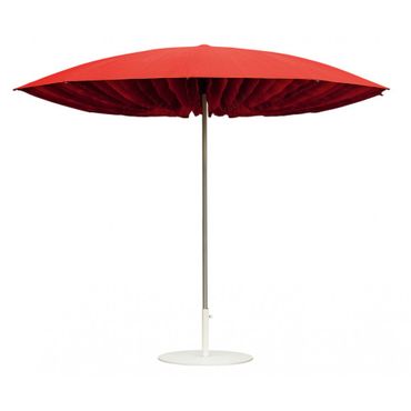 Parasol champignon
Parasol champignon