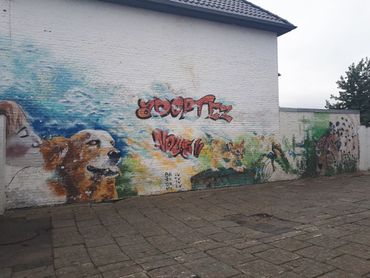 "Dans un monde idéal, les refuges n'existeraient pas..." Malheureusement, la réalité est parfois tout autre. "Dans un monde idéal, les refuges n'existeraient pas..." Malheureusement, la réalité est parfois tout autre.