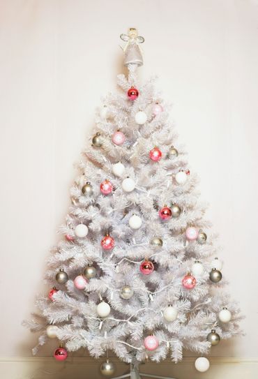 Sapin de Noël : naturel ou artificiel ? Sapin de Noël : naturel ou artificiel ?