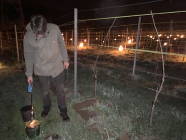 Lobbes : La lutte contre le gel bat son plein dans les vignes Lobbes : La lutte contre le gel bat son plein dans les vignes