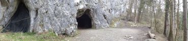 Les grottes de Goyet, Les grottes de Goyet,