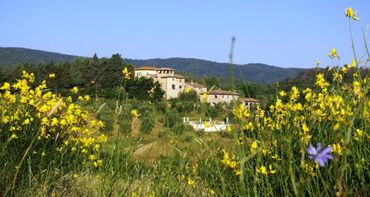 Italie: Caroline Cardon de Lichtbuer et Thierry Hazée, Propriétaires d’un agriturismo à Murlo Località Italie: Caroline Cardon de Lichtbuer et Thierry Hazée, Propriétaires d’un agriturismo à Murlo Località