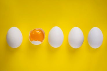 Sur le plat, bénédicte, à la coque, poché… Il y en a pour tous les œufs Sur le plat, bénédicte, à la coque, poché… Il y en a pour tous les œufs