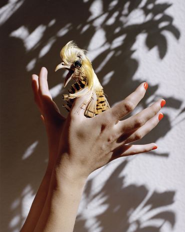 “Sans titre”, typique, 2014 de Thomas Rousset “Sans titre”, typique, 2014 de Thomas Rousset