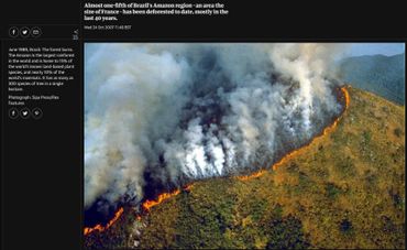 Cette photo a été prise par un photographe de Sipa Press et publiée par The Guardian en 2007 Cette photo a été prise par un photographe de Sipa Press et publiée par The Guardian en 2007