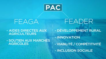 UE : La politique agricole commune (PAC) UE : La politique agricole commune (PAC)