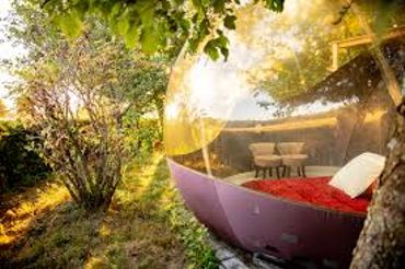 Une nuit à la belle étoile dans une bulle en pleine nature ardennaise Une nuit à la belle étoile dans une bulle en pleine nature ardennaise