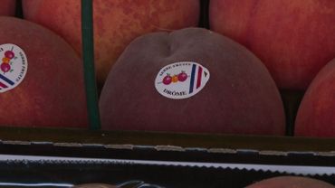 Les clients s'assurent de la provenance des fruits et légumes sur le marché de Rouen. Les clients s'assurent de la provenance des fruits et légumes sur le marché de Rouen.