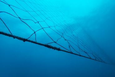 Un filet de protection anti-requins à Umkomaas près de Durban, en Afrique du Sud, le 10 décembre 2020. Un filet de protection anti-requins à Umkomaas près de Durban, en Afrique du Sud, le 10 décembre 2020.