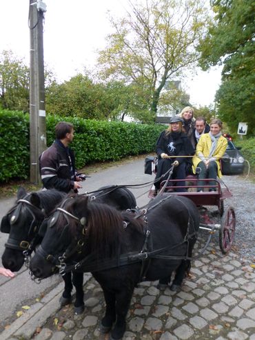 L'attelage et les parkings pour chevaux à Lasne L'attelage et les parkings pour chevaux à Lasne