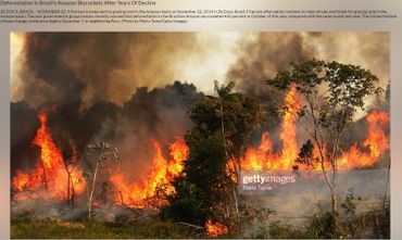 Cette photo a été prise dans l'Etat brésilien de Maranhao le 22 novembre 2014 Cette photo a été prise dans l'Etat brésilien de Maranhao le 22 novembre 2014