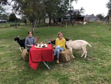 Les Fromages de Julie et Autres Délices Les Fromages de Julie et Autres Délices