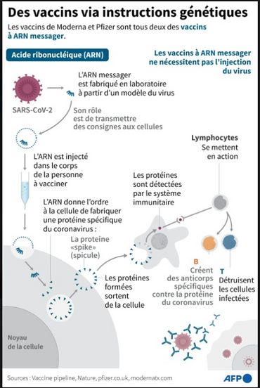 Face aux mutations du coronavirus, sur quels vaccins parier ? Face aux mutations du coronavirus, sur quels vaccins parier ?
