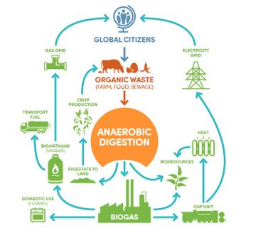 Le cycle du biogaz Le cycle du biogaz
