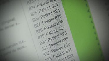 L'Artemisia, la plante anti-paludisme mise à l'honneur par le docu "Malaria Business", et Stromae L'Artemisia, la plante anti-paludisme mise à l'honneur par le docu "Malaria Business", et Stromae