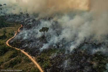 Incendies en Amazonie: survol des régions concernées Incendies en Amazonie: survol des régions concernées