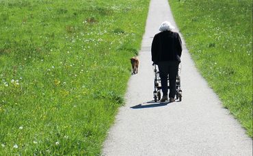 La Garantie de revenus aux personnes âgées (GRAPA) est une prestation octroyée aux personnes âgées dont les revenus sont trop faibles pour assurer leur subsistance. La Garantie de revenus aux personnes âgées (GRAPA) est une prestation octroyée aux personnes âgées dont les revenus sont trop faibles pour assurer leur subsistance.