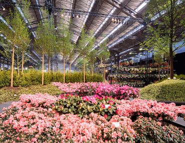 Les Floralies de Gand Les Floralies de Gand