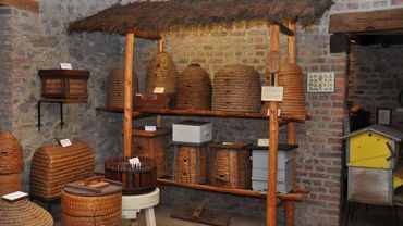 Le musée présente une grande diversité de ruches (belges et étrangères), une collection d'instruments employés en apiculture, deux ruches vitrées en activité et l'illustration du "langage des abeilles". Le musée présente une grande diversité de ruches (belges et étrangères), une collection d'instruments employés en apiculture, deux ruches vitrées en activité et l'illustration du "langage des abeilles".