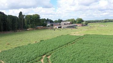 Un diplôme d’électricien en poche, Tanguy se tourne tout de même vers le métier d’agriculteur Un diplôme d’électricien en poche, Tanguy se tourne tout de même vers le métier d’agriculteur