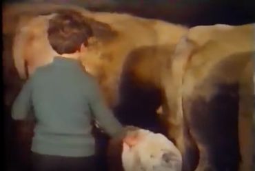 José Wavreille au travail, à la maison, après l'école. José Wavreille au travail, à la maison, après l'école.