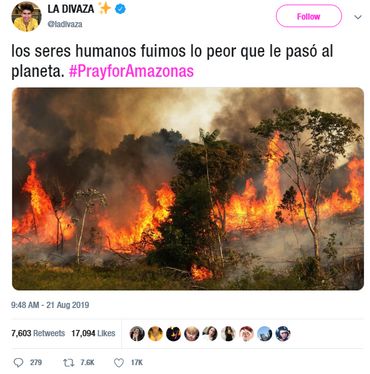 Cette photo a bien été réalisée en Amazonie... mais le 22 novembre 2014 Cette photo a bien été réalisée en Amazonie... mais le 22 novembre 2014