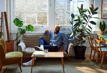 Les plantes d'intérieur signent notre "home branding". Les plantes d'intérieur signent notre "home branding".