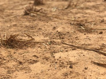 Au Nord du Burkina Faso, les terres sont arides à cause du manque de pluie Au Nord du Burkina Faso, les terres sont arides à cause du manque de pluie