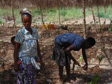 Au Ghana, le combat d’une ONG pour reboiser les anciens sites miniers illégaux Au Ghana, le combat d’une ONG pour reboiser les anciens sites miniers illégaux