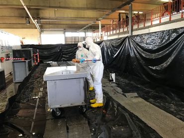 "Entre la découverte du cadavre, son acheminement et l'analyse des prélèvements, il y a des conditions très strictes à respecter." "Entre la découverte du cadavre, son acheminement et l'analyse des prélèvements, il y a des conditions très strictes à respecter."