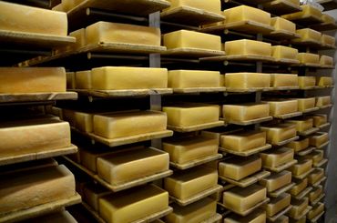 Depuis des générations, le fromage d’Abbaye de Maredsous est affiné avec patience et savoir-faire dans les caves de l’Abbaye. Depuis des générations, le fromage d’Abbaye de Maredsous est affiné avec patience et savoir-faire dans les caves de l’Abbaye.