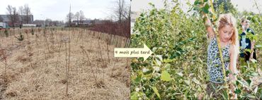 Un japonais a replanté 40 millions d'arbres de forêt vierge Un japonais a replanté 40 millions d'arbres de forêt vierge