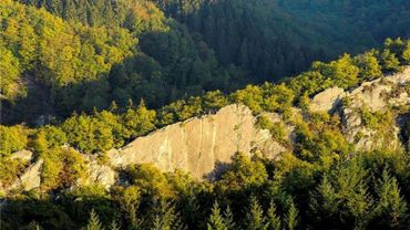 Le Trail du Hérou fait partie du championnat de Belgique de trails. 3 courses sont proposées: le Petit Hérou, le Moyen Hérou et le Grand Hérou. Le Trail du Hérou fait partie du championnat de Belgique de trails. 3 courses sont proposées: le Petit Hérou, le Moyen Hérou et le Grand Hérou.