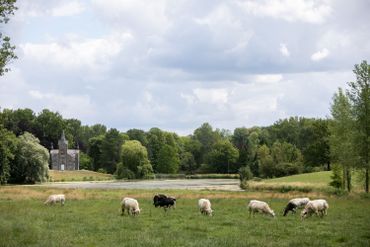 Du golf au milieu des vaches ? Tout est possible dans le Condroz avec Michel Lecomte ! Du golf au milieu des vaches ? Tout est possible dans le Condroz avec Michel Lecomte !