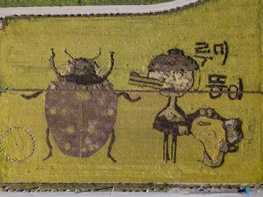 Une grue et une coccinelle ont été dessinées Une grue et une coccinelle ont été dessinées