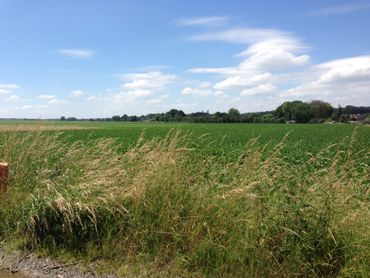 Leuze-en-Hainaut: bientôt un "Quartier Nouveau" au Bon Air Leuze-en-Hainaut: bientôt un "Quartier Nouveau" au Bon Air
