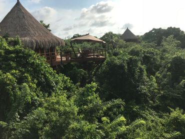 La réserve naturelle de Baranquilla La réserve naturelle de Baranquilla